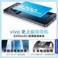 vivo【24期免息】Y500手机 2025上市新品 8200mAh超薄蓝海电池 IP69+满级防水 越级旗舰外观 耐用抗摔 玄武黑 12GB+512GB