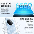 vivoY300i 新机2025上市  全新5G全网通 全面抗摔金刚盾玻璃 6500mAh超薄蓝海电池 雾凇蓝 12GB+512GB