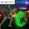 钻后LED发光臂带夜跑灯户外运动夜跑骑行闪光警示灯USB充电手腕灯手环 蓝色电池款