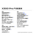 vivo X300 Pro 蔡司2亿APO长焦 蓝图影像双芯 5年持久流畅OriginOS 6 AI手机  旷野棕【x300 Pro】 12GB+256GB