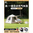 太力户外自动充气帐篷户外露营装备3-4人拾光5.29便携式野营防雨过夜防寒 5.29㎡【2-4人自动充气款】