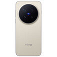 vivo X300 Pro 蔡司2亿APO长焦 蓝图影像双芯 5年持久流畅OriginOS 6 AI手机  旷野棕【x300 Pro】 12GB+256GB