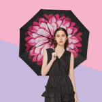 蕉下 太阳伞防紫外线雨伞双层防晒伞 折叠晴雨伞遮阳伞女小黑伞49cm*8骨 莲町