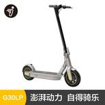 九号（Ninebot） 电动滑板车MAX G30LP 锂电池成人便携折叠电动车体感车站骑超长续航 电动滑板车G30LP