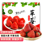 落沙园 丹东红颜奶油草莓2斤