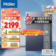 Haier海尔JSLQ27-16ER5DLRCU1 一级能效16升零冷水燃气热水器