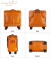 伯莎丹顿品牌真皮行李箱2023新款拉杆复古大容量万向轮登机旅行箱 6553黄棕色