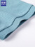 罗蒙（ROMON）短袖t恤男夏季薄款翻领华夫格半袖polo领体恤衫舒适透气男装上衣 浅蓝 XL