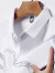 啄木鸟（TUCANO）夏季无痕短袖衬衫男士薄款龙年图案烫钻冰丝休闲商务半袖打底衫 灰色 175/XL(体重140斤-155斤 )