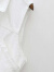 LANWEIFEILEI春秋季新款韩版绑带牛仔马夹女短款马甲背心外套坎肩上衣 紫色 S 75-90斤