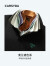 珈仕达（CARSYDA）【凉感】男装夏季新款多彩美式廓形短袖Polo衫 卡其绿 170/92A