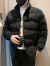 比得鼠（THANA RAT）香港轻奢男士立领辑行羽绒棉服短款冬季袄子2023新款潮牌百搭加厚 黑色 M 建议115斤以内