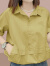 皮尔卡丹女士短袖衬衫2024夏装新款衬衣遮肚子上衣小个子显瘦宽松上衣衬衫 卡其色 M(95-105斤拍)