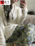 百含玉套装女冬季新款韩版设计感慵懒风镂空针织毛衣碎花半身两件一套 针织衫 S