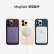 APPLE/苹果 iPhone 13 Pro Max (A2644) 全网通5G 双卡双待苹果手机iphone13promax 金色 1TB【标配】
