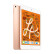 Apple iPad mini5 二手iPad 苹果平板电脑 迷你5 二手平板 95新 mini5 64G 4G插卡版 品牌充电套装+壳膜+耳机+电容手写笔