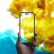 TGVI'S 苹果14ProMax钢化膜iPhone14plus手机膜5G全屏覆盖大猩猩防尘保护贴膜 【高清】14ProMax防爆防刮/强抗指纹/原感 【全国七仓配送 闪电到家】