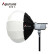 爱图仕（Aputure）amaran 200d S LED补光灯 直播视频高亮常亮灯 美颜外拍影棚灯（含Lantern柔光球及灯架）