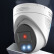 海康威视 800万白光全彩智能警戒双补光人车报警入侵侦测POE网络语音对讲摄像机 DS-2CD3386FWDA4-LS(8mm)