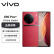 vivo X90 Pro+ 12GB+256GB 华夏红 蔡司一英寸T*主摄 自研芯片V2 100X蔡司超清变焦 5G 拍照 手机