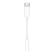 【备件库8成新】Apple USB-C 转 3.5 毫米耳机插孔转换器 适用部分Macbook iPad 平板 笔记本 转接头