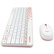 【尚沃】罗技（Logitech）MK240 Nano 键鼠套装 无线键鼠套装 办公键鼠套装 紧凑型 超长续航 带无线2.4G接收器 白