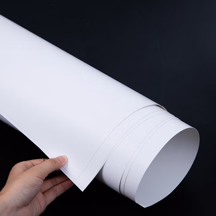 艺彩宸 全开白卡纸 正度大张整张卡纸 铜版纸 印刷铜卡纸 一面光滑卡纸 2开 1K 绘画纸名片 300克2开 10张（尺寸78*54cm）