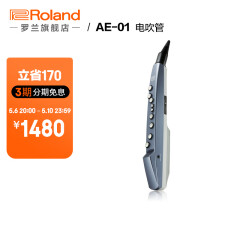 罗兰（Roland）AE-01 电吹管 Aerophone mini数字吹管乐器带音源扬声器电萨克斯 AE-01蓝色