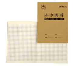道林（DAOLEN）  牛皮纸英语数学课文统一作文本小学生英文24K 16k大号作业簿 小本小方格簿（10本）