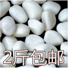 鹅卵石纯白色鹅卵石白色小石子椭圆形铺地花盆装饰鱼缸美观大方 纯白色鹅卵石2-3厘米/斤