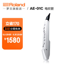 罗兰（Roland）Aerophone mini AE-01C便携电吹管入门 数字吹管乐器内置民族音色 AE-01C白色