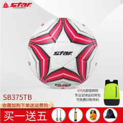 世达（star）3000超纤足球FIFA认证超纤革材质防水比赛训练5号球联赛指定用球 5号/标准 SB375TB+足球包