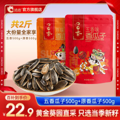 洽洽 瓜子葵花籽500g*2袋坚果炒货特产休闲零食小吃 五香味原味各1袋