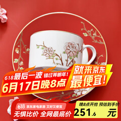 华光国瓷 骨瓷咖啡杯碟套装 故宫宫廷风咖啡杯碟 创意送礼礼盒装 锦色