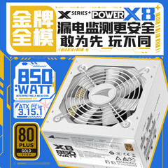 长城（Great Wall）额定850W X8白色金牌全模电脑电源（ATX3.1/PCIe5.1/漏电监测/自动启停/支持AMD 9850X3D）