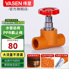 伟星 PPR截止阀 水管阀门入户开关热熔总阀门4分D20 6分D25阀门 D20(4分)