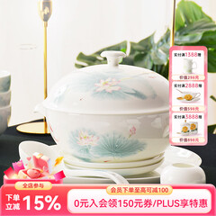 华光陶瓷碗套装 抗菌骨瓷餐具 釉中彩碗碟套装家用中式 春江水暖 春江水暖 46头礼盒装【抗菌瓷】