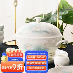 华光陶瓷碗套装 抗菌骨瓷餐具 釉中彩碗碟套装家用中式 春江水暖 春江水暖 46头礼盒装【抗菌瓷】