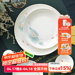 华光陶瓷碗套装 抗菌骨瓷餐具 釉中彩碗碟套装家用中式 春江水暖 春江水暖 46头礼盒装【抗菌瓷】