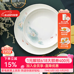 华光陶瓷碗套装 抗菌骨瓷餐具 釉中彩碗碟套装家用中式 春江水暖 春江水暖 46头礼盒装【抗菌瓷】