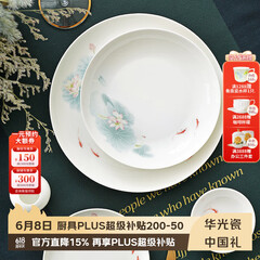 华光陶瓷碗套装 抗菌骨瓷餐具 釉中彩碗碟套装家用中式 春江水暖 春江水暖 46头礼盒装【抗菌瓷】