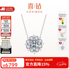 喜钻七夕礼物铂金女人花钻石吊坠女群镶钻石项链锁骨链求婚结婚首饰 【约2.5克拉效果】铂金共1克拉IJ色