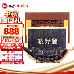 晓芹大连淡干海参 88g 28-32头 辽刺参 海参干货 海参礼盒 中秋礼品