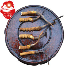 福曦堂 那曲冬虫夏草断草 大头丁 高海拔那曲虫草 大头钉断草 1克