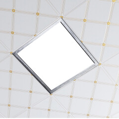 大度（DADU）LED集成吊顶灯铝扣板嵌入式面板灯厨房卫生间吸顶灯 30*30*60平板灯led 300X300LED照明灯（拉丝银）正白光14W