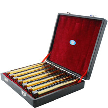 天鹅（SWAN） 24孔金色复音口琴 专业演奏7只调礼品套装 加厚座板
