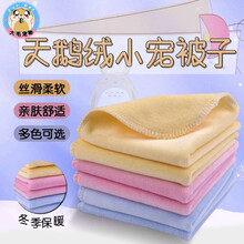 仓鼠松鼠龙猫保暖睡觉天鹅绒被子毯子蜜袋鼯花枝松鼠刺猬幼崽垫材 小宠被子(25X25CM)