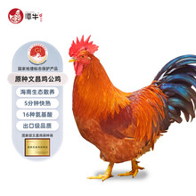 潭牛海南文昌鸡切块450g 散养140天土鸡老母鸡肉生鲜 椰子鸡 冷冻