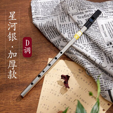 哨笛锡笛C调 笛子竖笛直笛长笛初学者 锡哨风笛乐器 【星河银-加厚款】D调