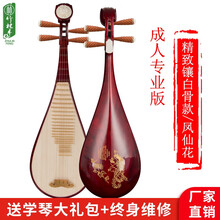 竹林丰 民族弹拨乐器红木琵琶乐器专业级演奏初学者入门成人儿童便携式考级教学民族乐器全套装 成人专业款【精品琴盒+全套配件+维修】凤仙花